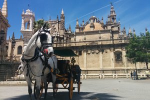 Horse-drawn carriage waiting in front of a historical cathedral on a sunny day.